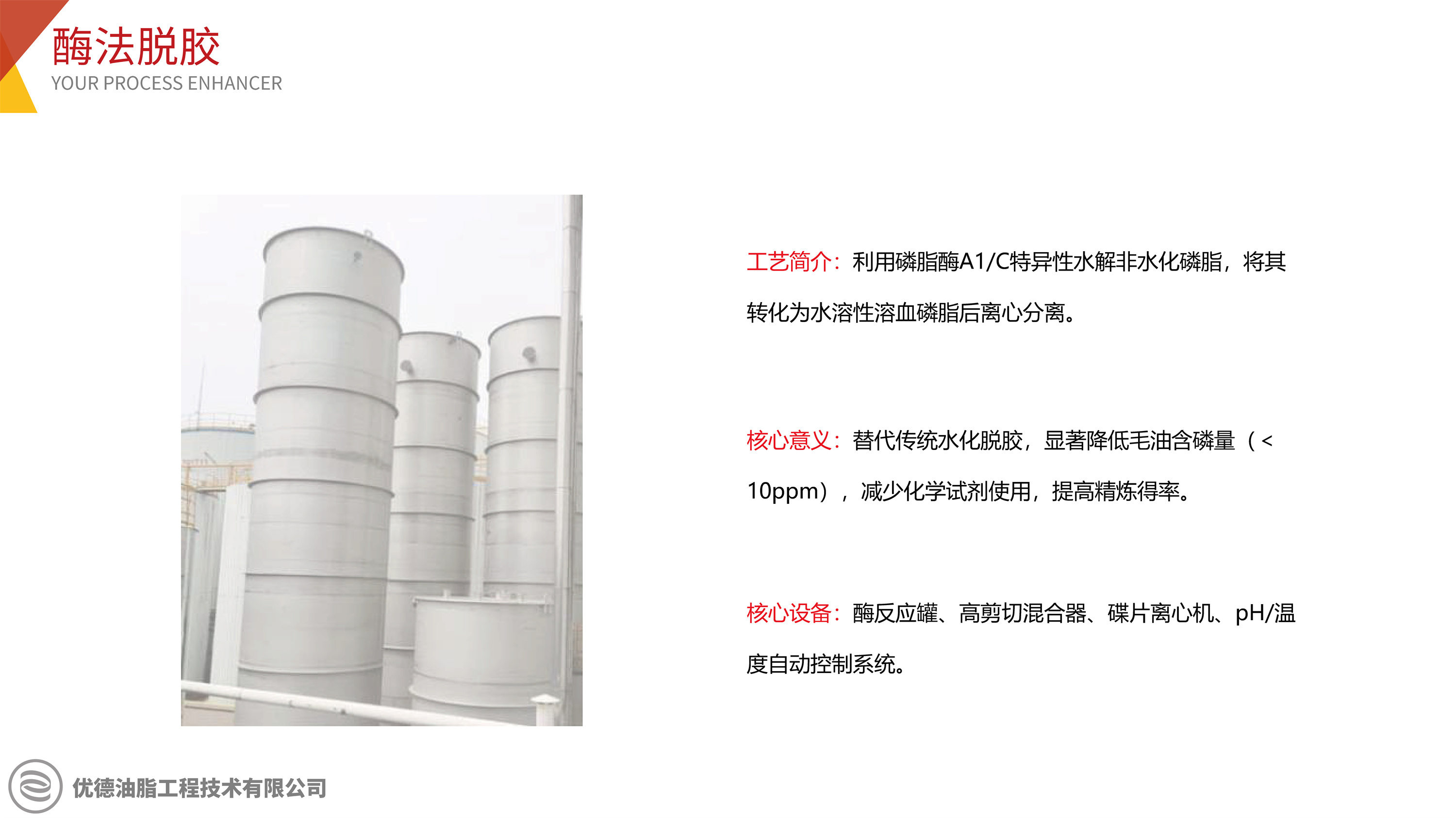 酶法脱胶概述