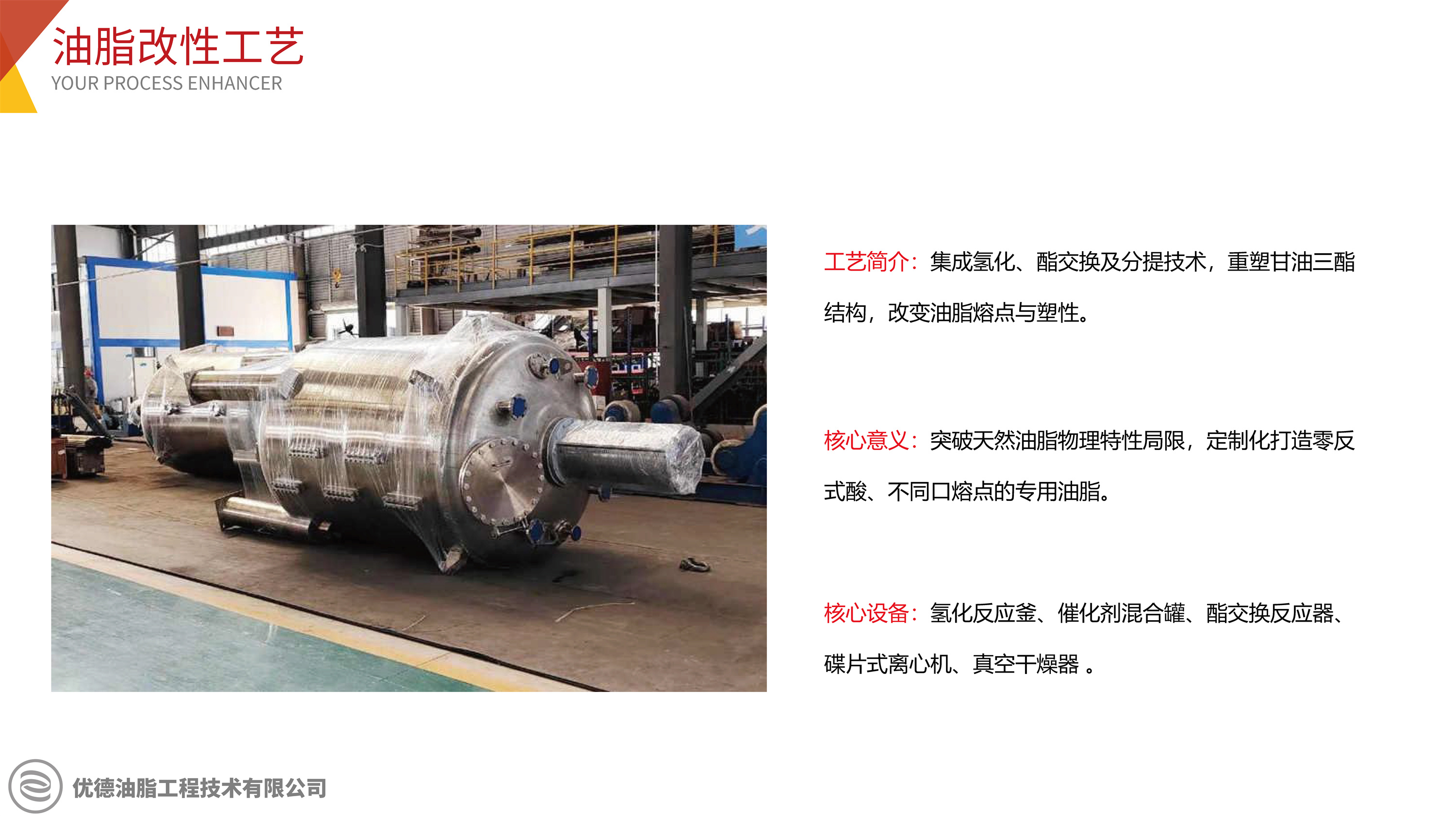 油脂改性工艺