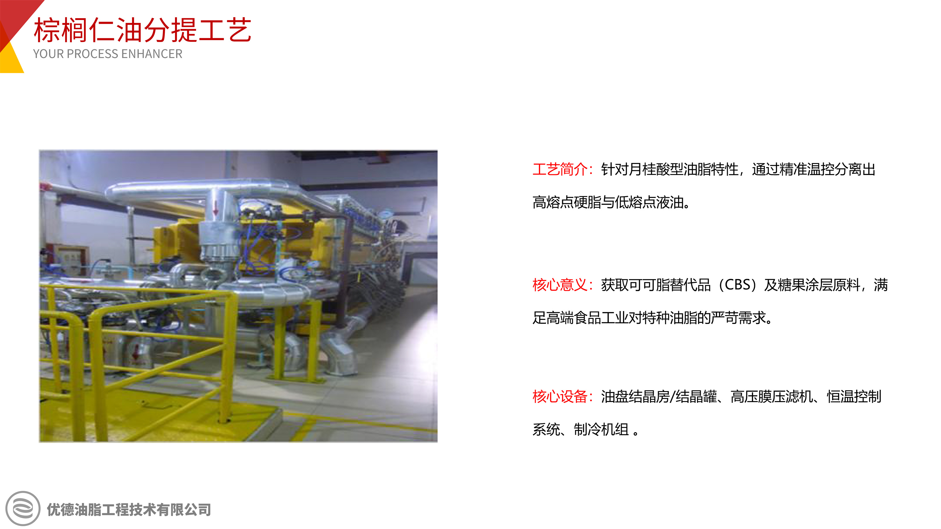 棕榈仁油分提工艺设备及技术服务